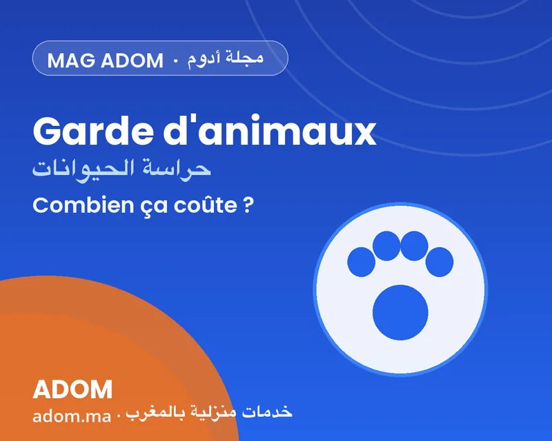 How much does at-home pet sitting cost in Morocco in 2026?