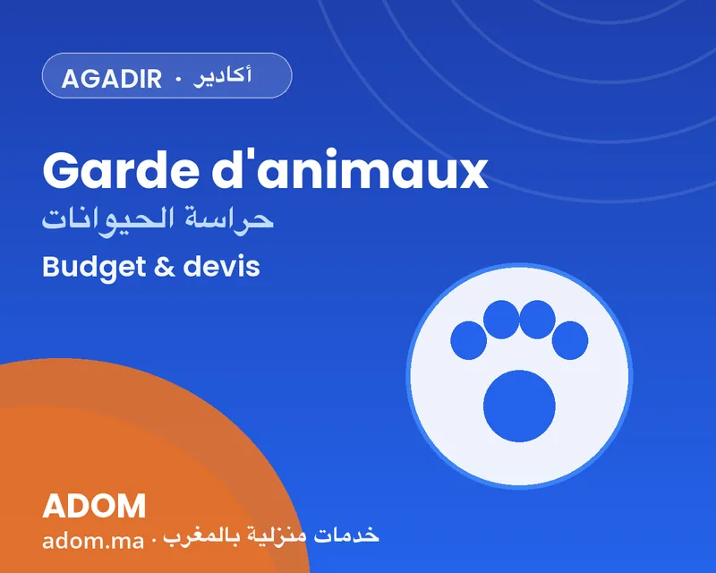 At-home pet sitting in Agadir: what makes the price vary in 2026