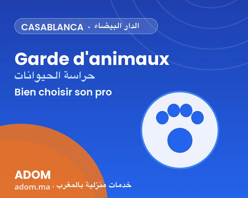 At-home pet sitting in Casablanca: which plan to choose based on how long you're away in 2026