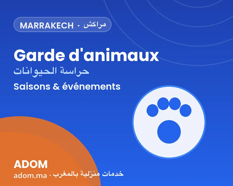 At-home pet sitting in Marrakech: planning ahead for the summer travel season in 2026