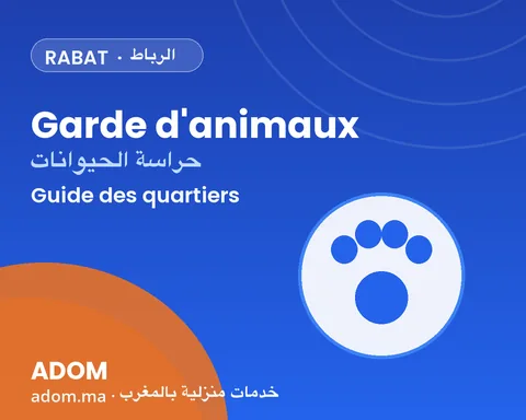 Garde d'animaux à domicile à Rabat : quartiers desservis et comment bien choisir en 2026