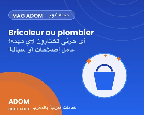 Bricoleur ou plombier : quel artisan choisir pour quelle tâche ?