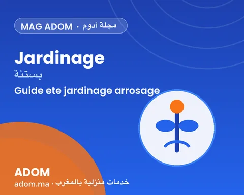 Bien entretenir son jardin en été : le guide de la saison chaude au Maroc