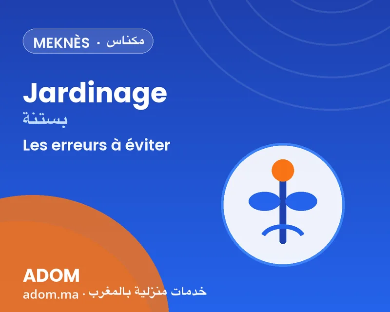Gardening in Meknes: mistakes to avoid before booking