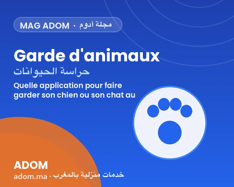 Quelle application pour faire garder son chien ou son chat au Maroc ?
